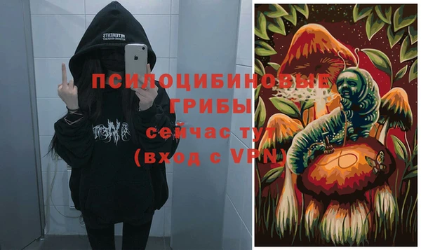 a pvp Арсеньев