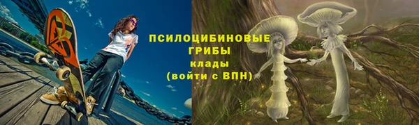 a pvp Арсеньев