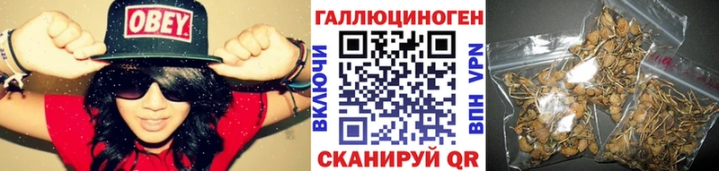 blacksprut ссылки  Слюдянка  Псилоцибиновые грибы MAGIC MUSHROOMS 